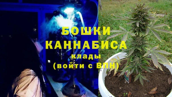 сатива Сафоново