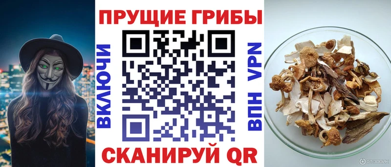 Псилоцибиновые грибы MAGIC MUSHROOMS  Кириллов 