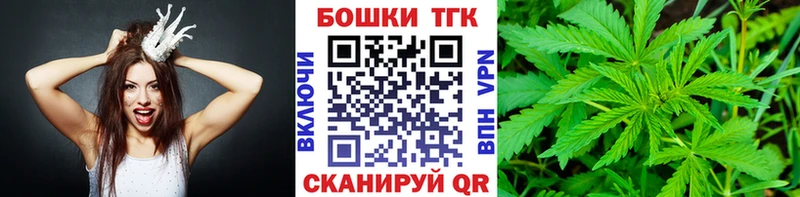 Конопля гибрид  Кириллов 